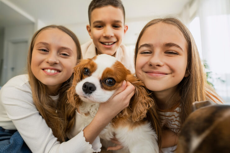 Melhores Raças de Cachorro para Crianças