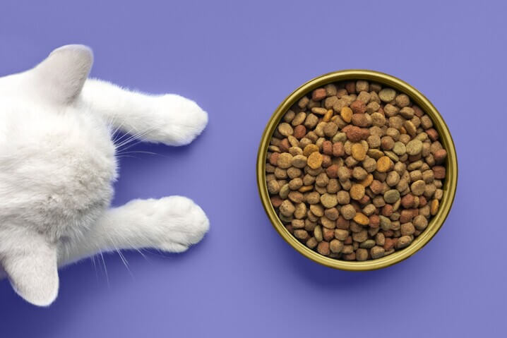 uma excelente ração para pet