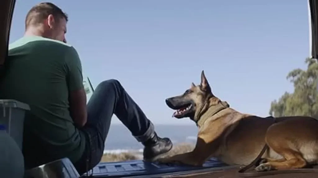 O filme Dog: A Aventura de Uma Vida