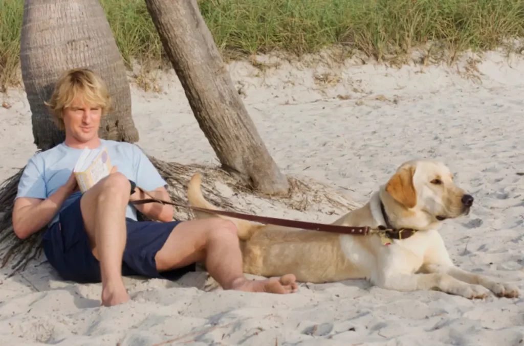 O filme Marley e Eu