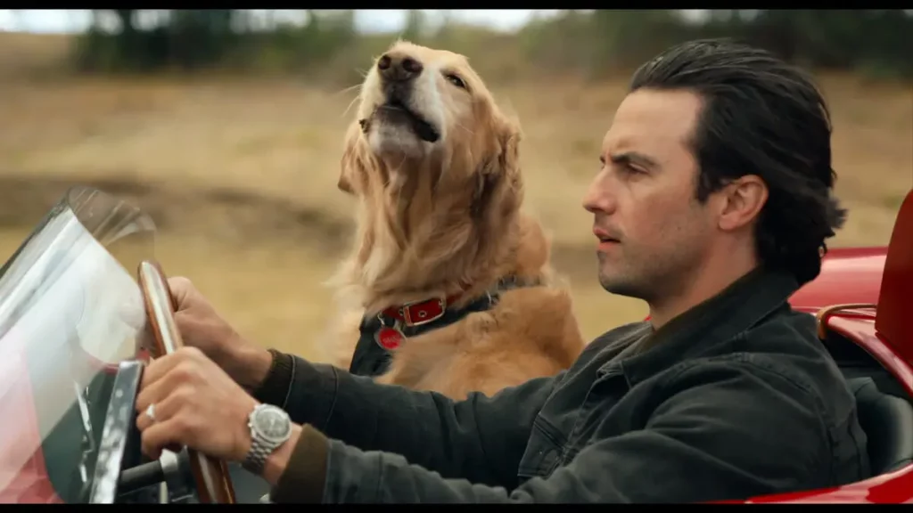O filme Meu amigo Enzo