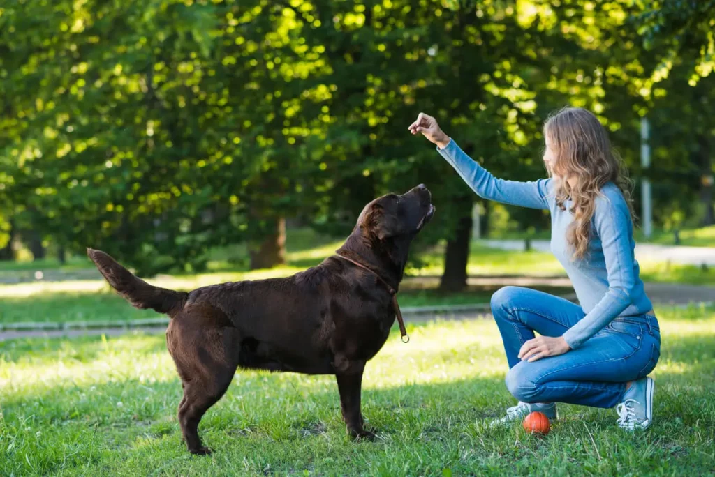 Uma tutora mostrando como adestrar um cachorro