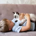 gato branco e preto, idade