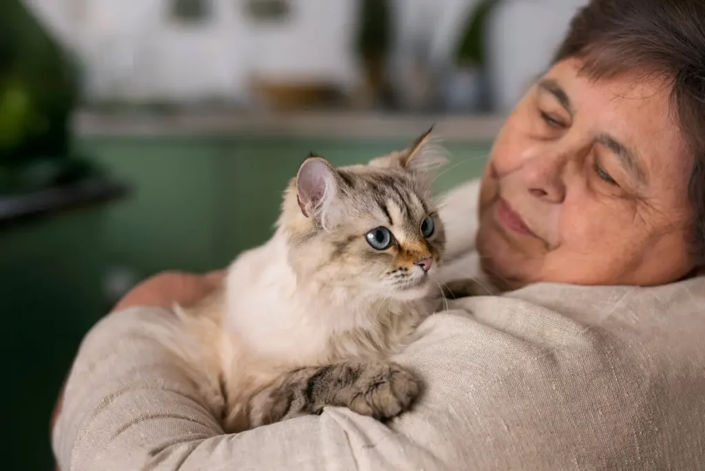Sua tutora, querendo saber a idade do gato.