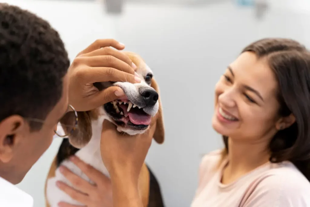 Tutores verificando os dentes do seu cão