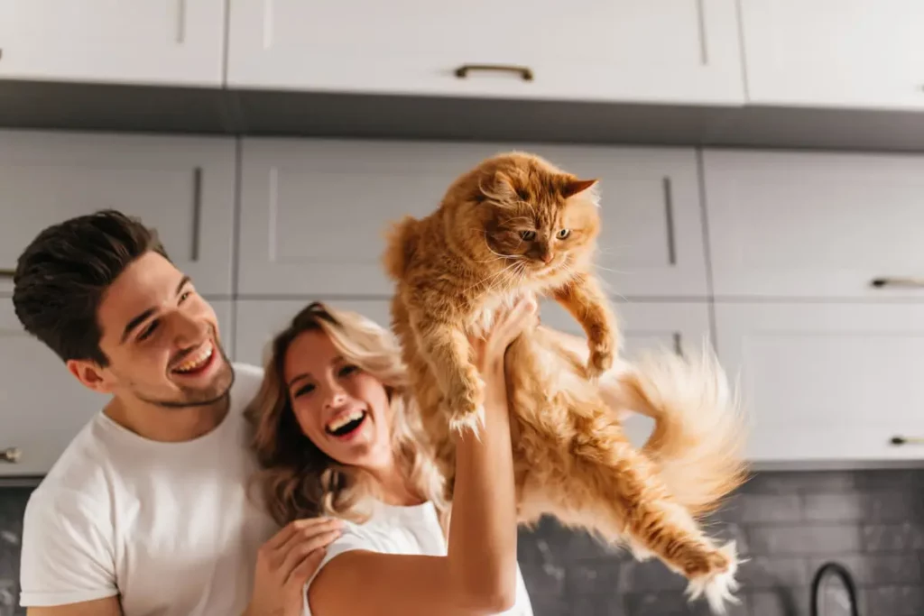Uma das raças de gato que um casal escolheu