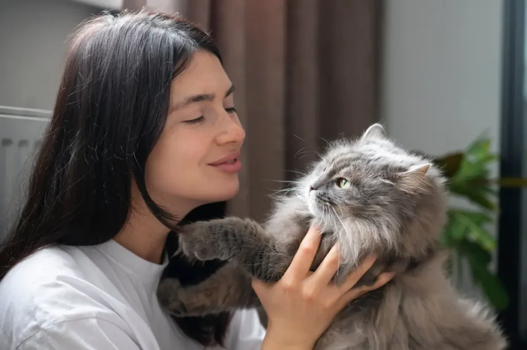 Um gato da raça Angorá com sua dona