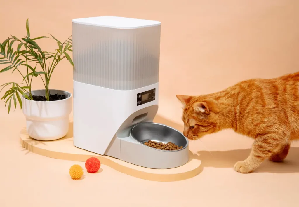Um gato com seus produtos